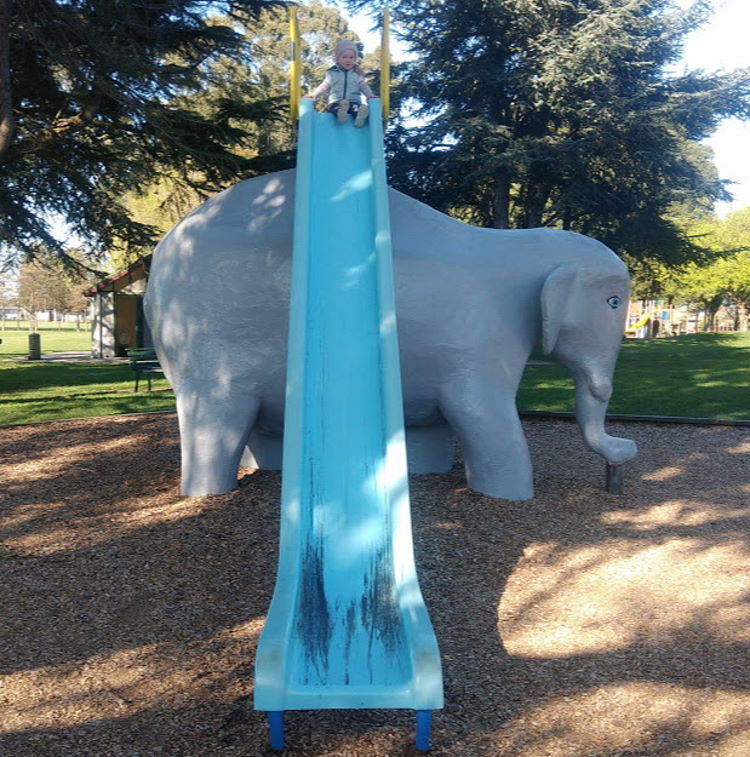 Bishopdale Park in Bishopdale, Christchurch